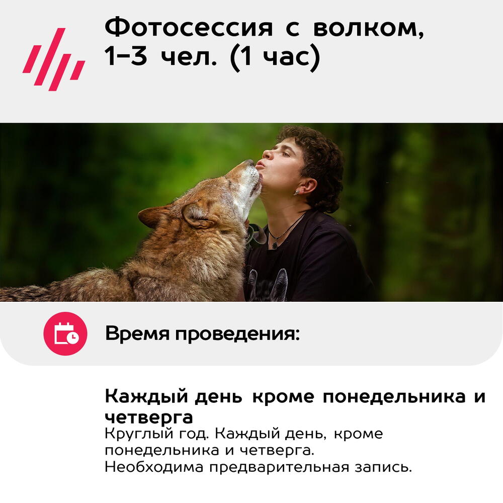 Подарочный сертификат Фотосессия с волком, 1-3 чел. (1 час) (Московская область)