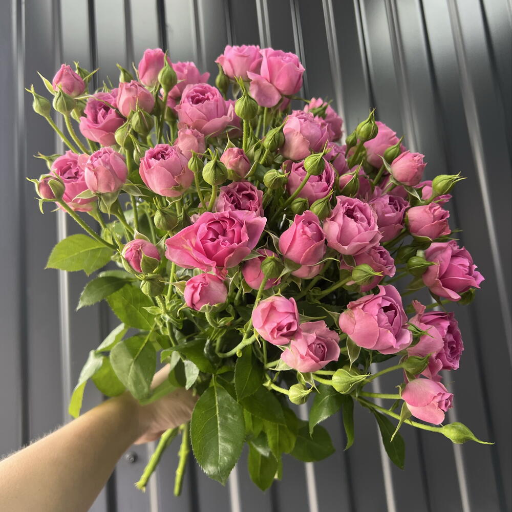 Мисти 🔥💐