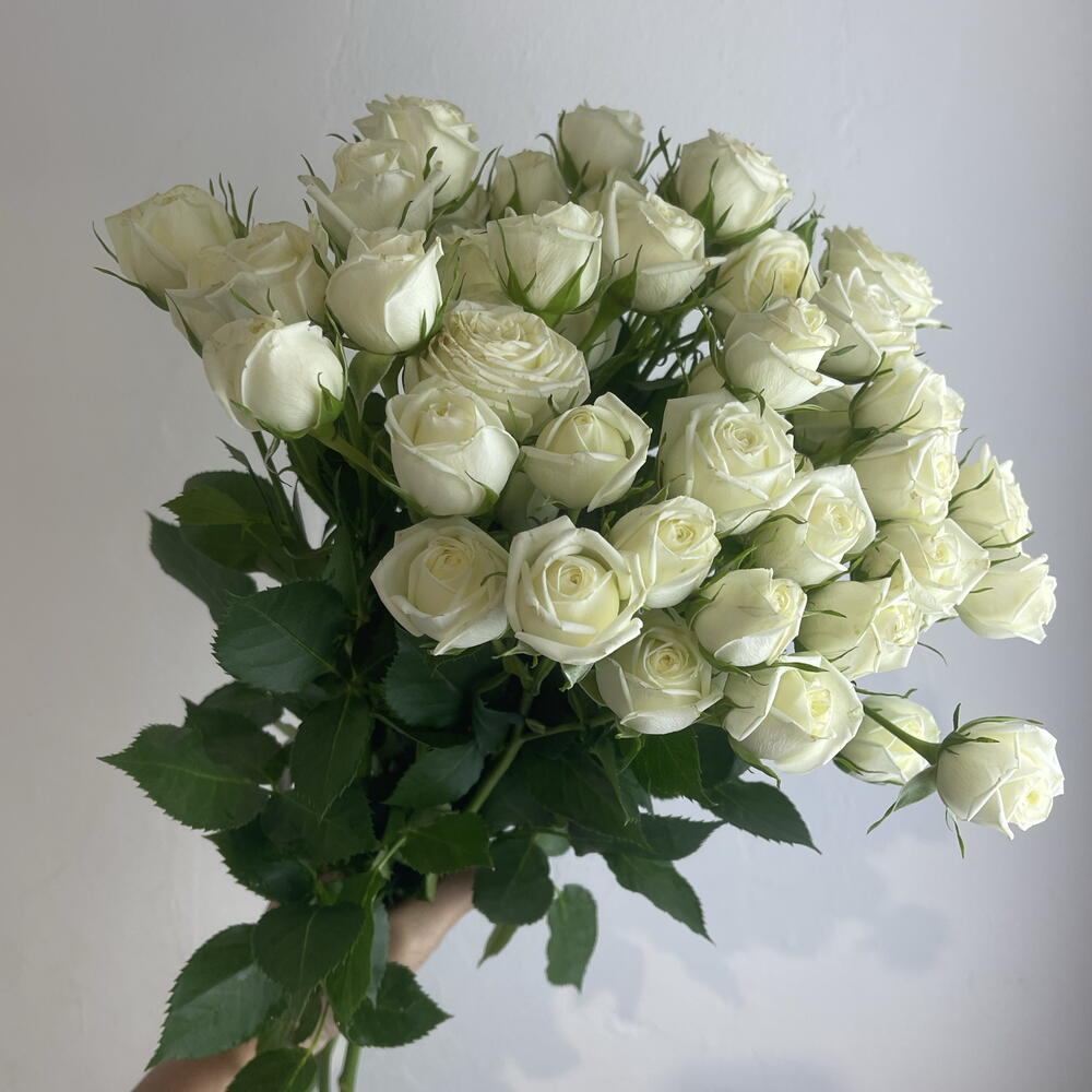Кустовые розы белые