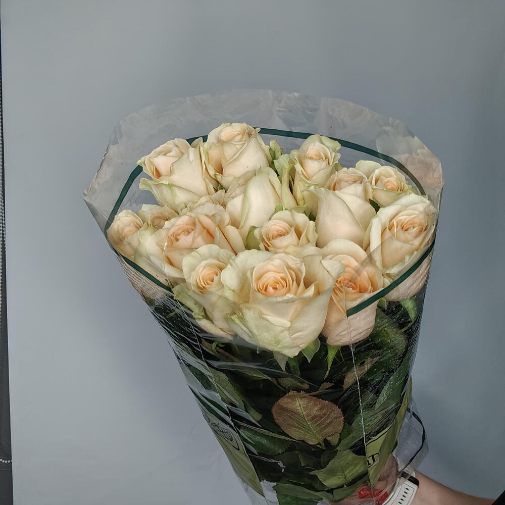 Пачка роз Пич Аваланш