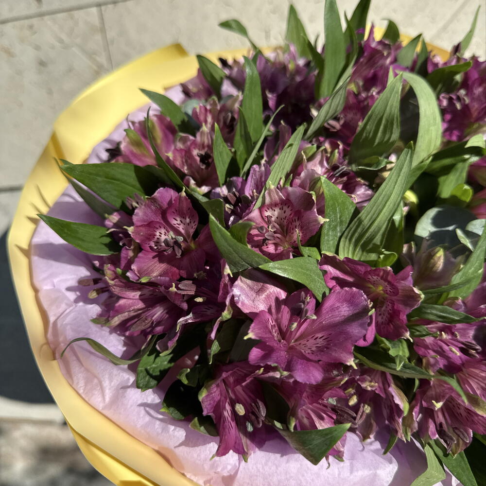 Букет комплимент МОНО альстромерия PURPLE