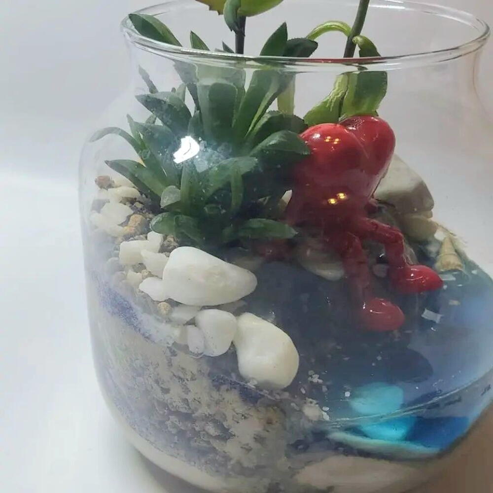 Флорариум  Сердце