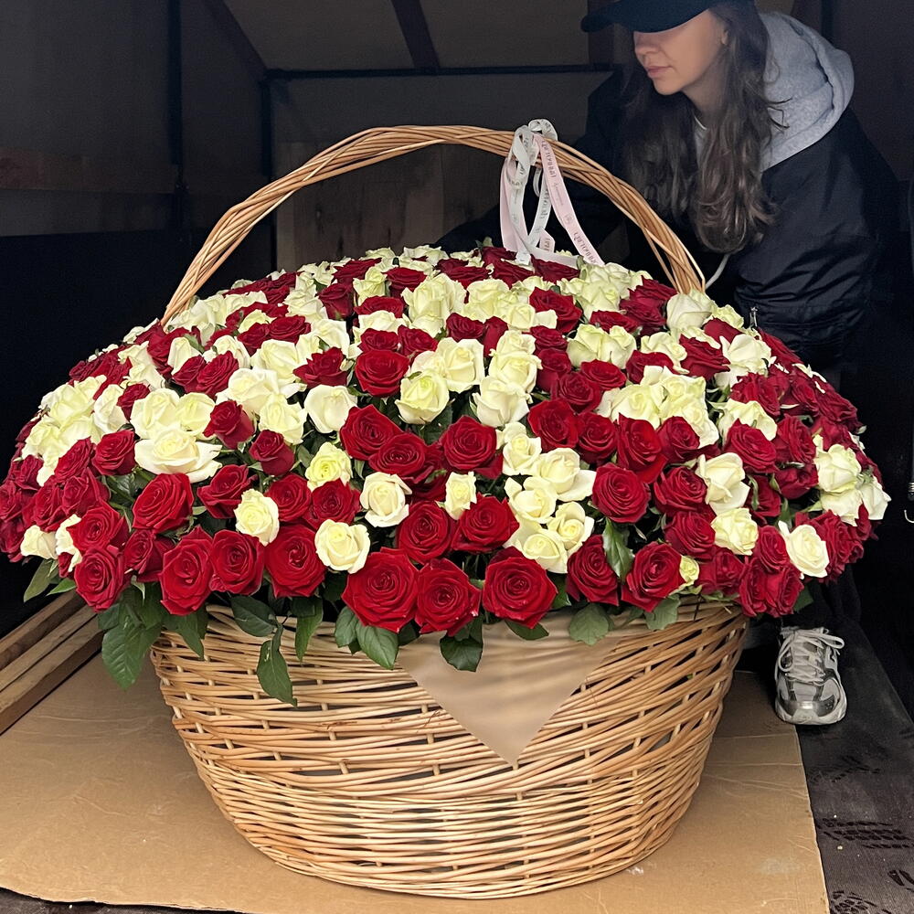 Корзина из 501 красных и белых роз