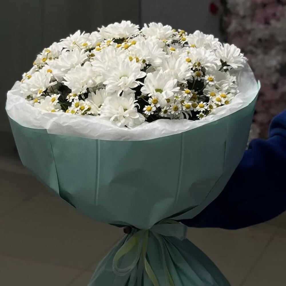 Палитра ромашек