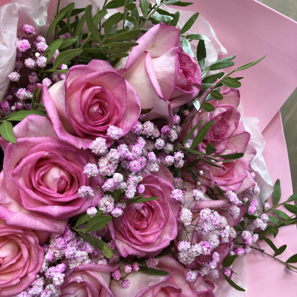 Softness