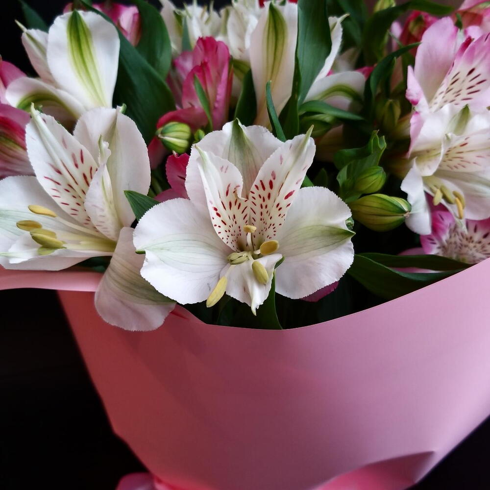 Bouquet of Alstroemeria