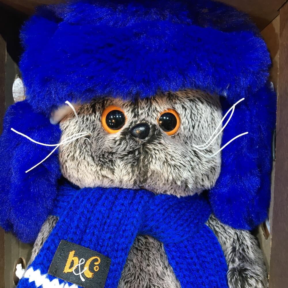 Кот Басик в ушанке