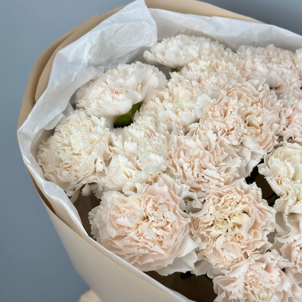 Букет из гвоздик (диантусов), 17шт. (М022)