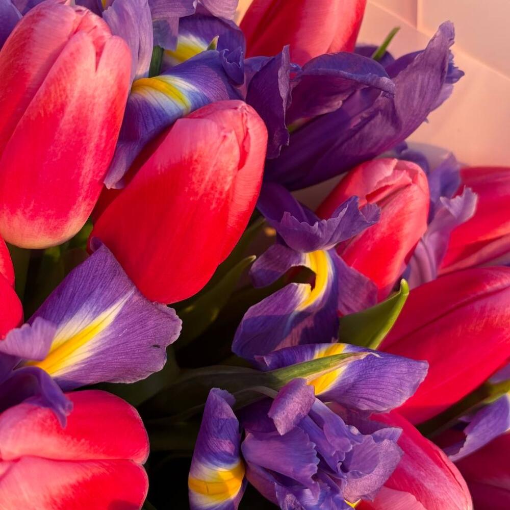 Тюльпаны и ирисы 🌷🌷🌷