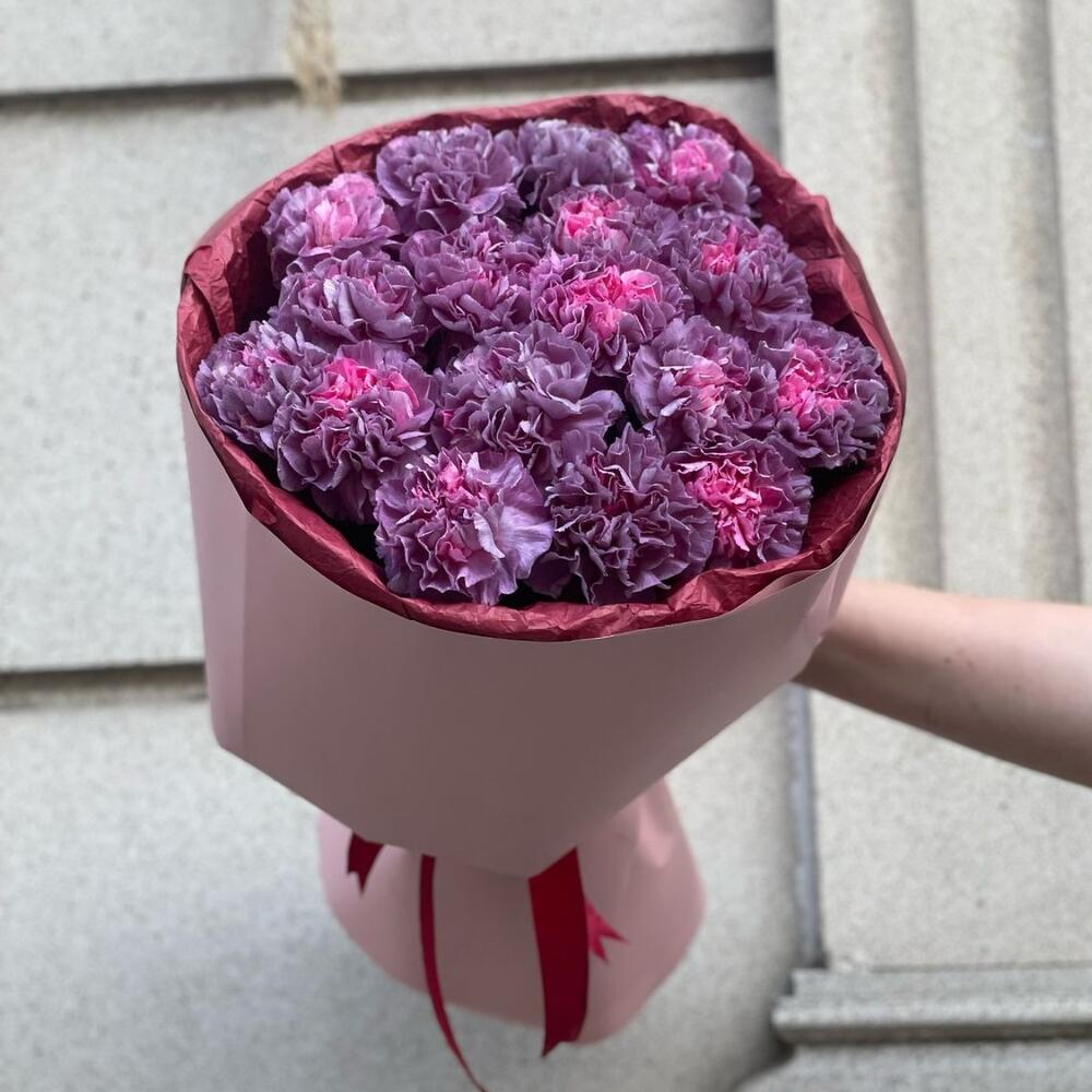Carnation