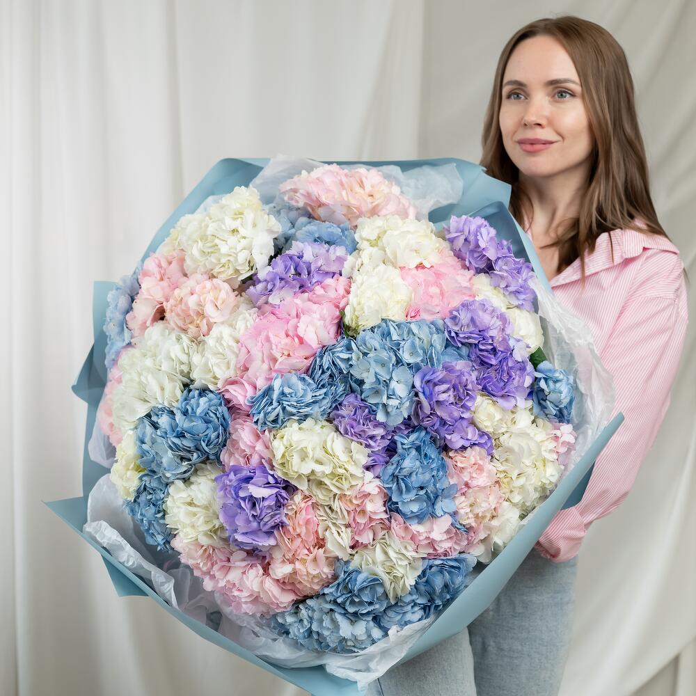 Букет из 51 гортензии (микс) Сибирис
