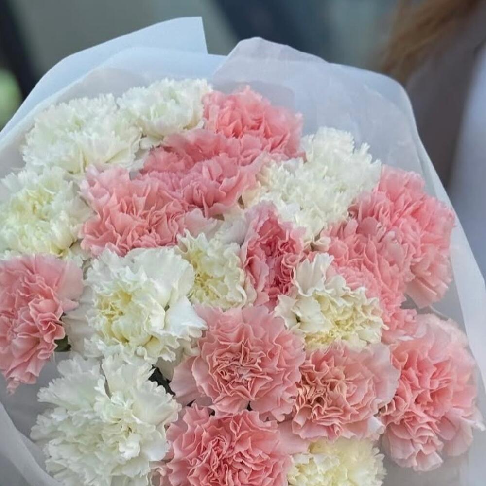 Нежный букет из 21 диантуса