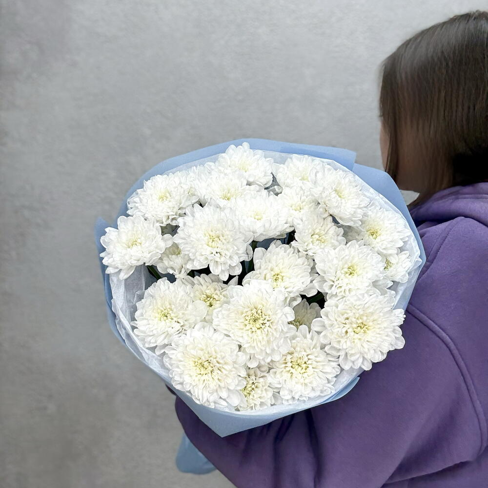 Букет из 5 кустовых хризантем Голубой (388)
