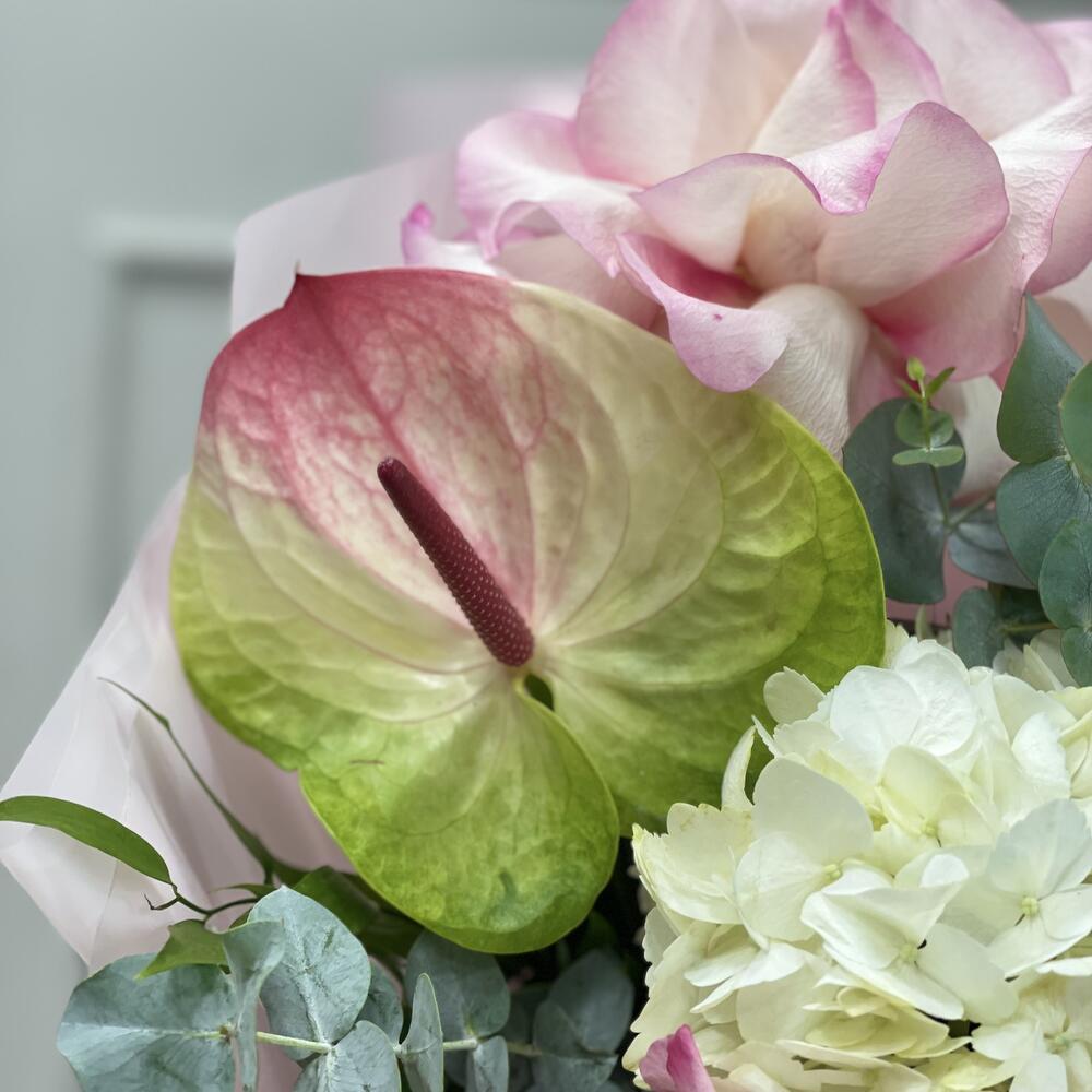 Утренняя Мелодия 🌸