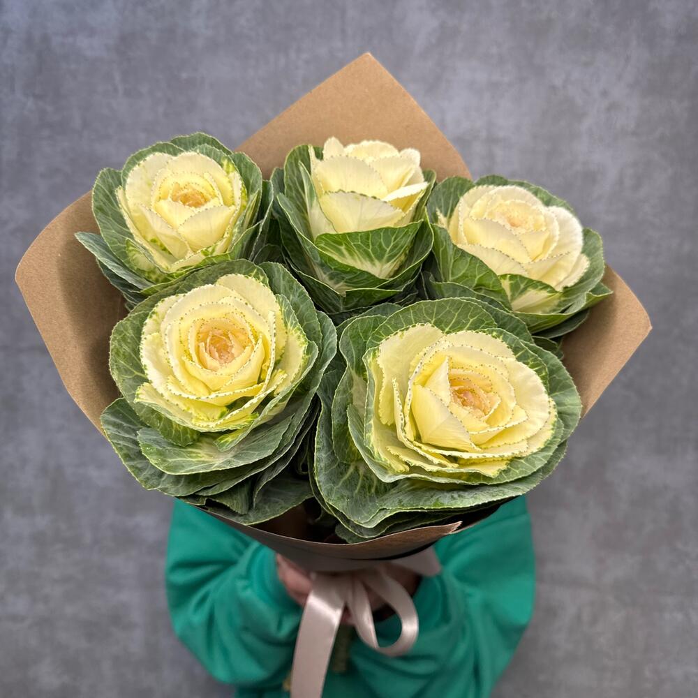 Букет 💐Брассика капуста