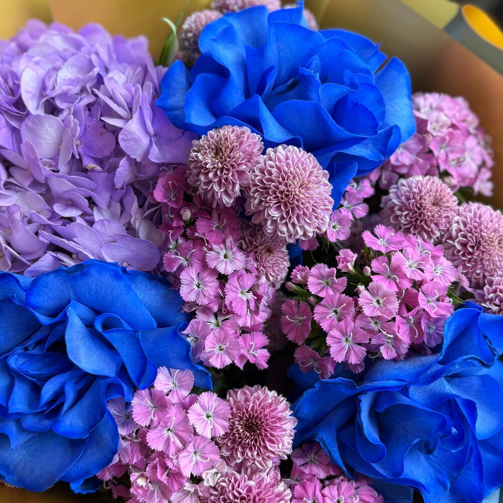 Blue Rose
