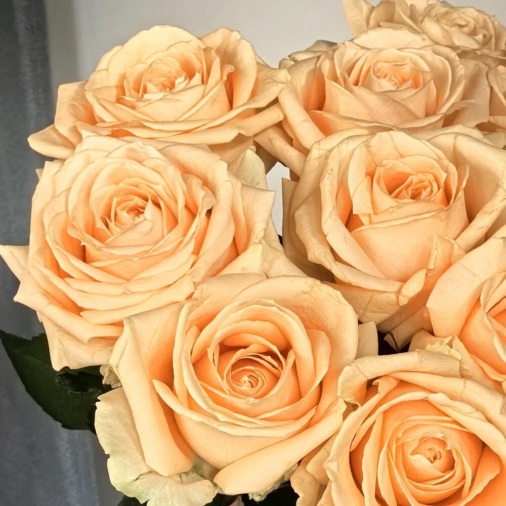 Букет чайных роз 15 шт 💛