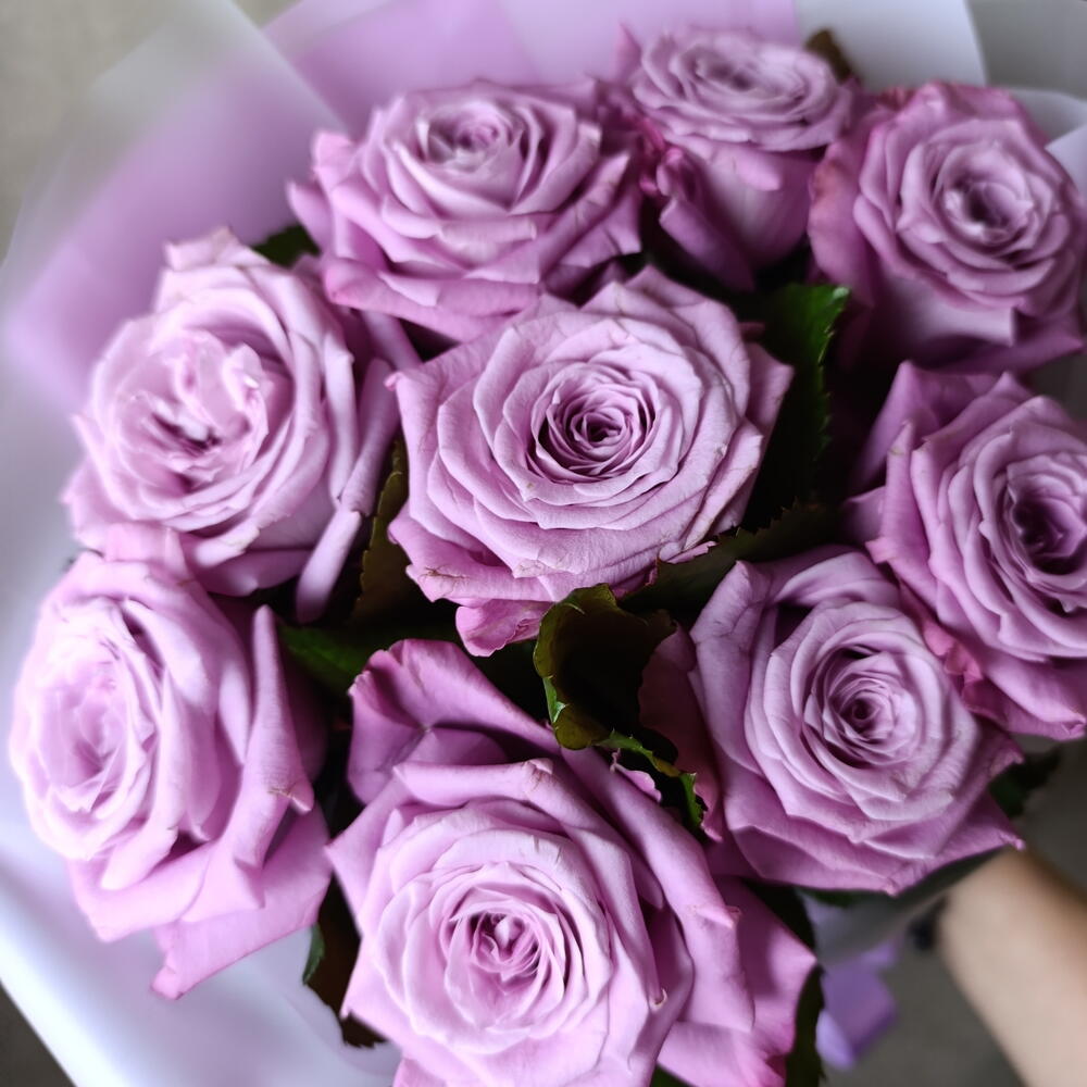 💜розы сиреневые
