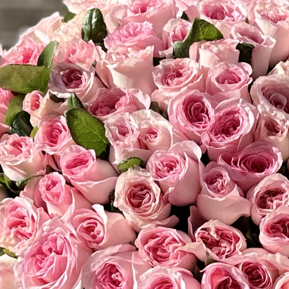 Roses in lavish packaging