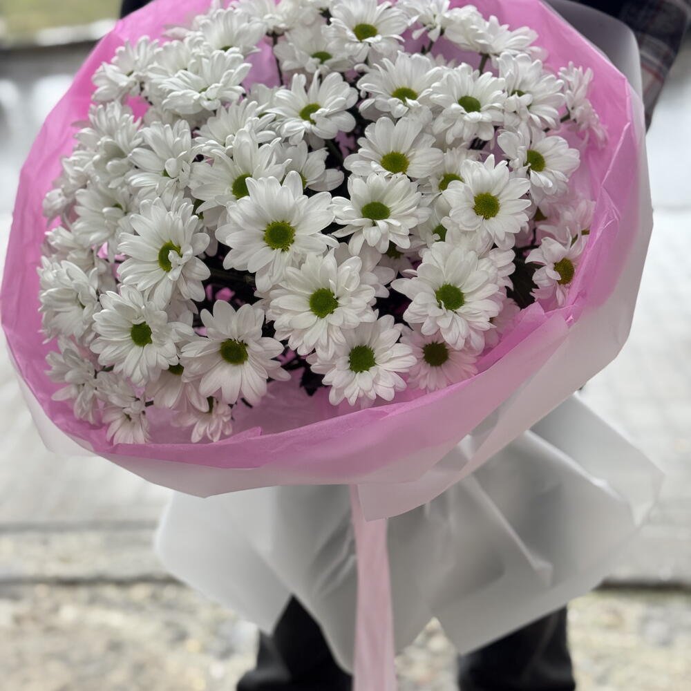 15 chrysanthemums