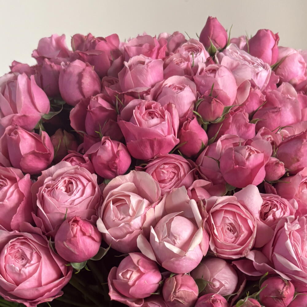 Нежный букет Сильва Pink