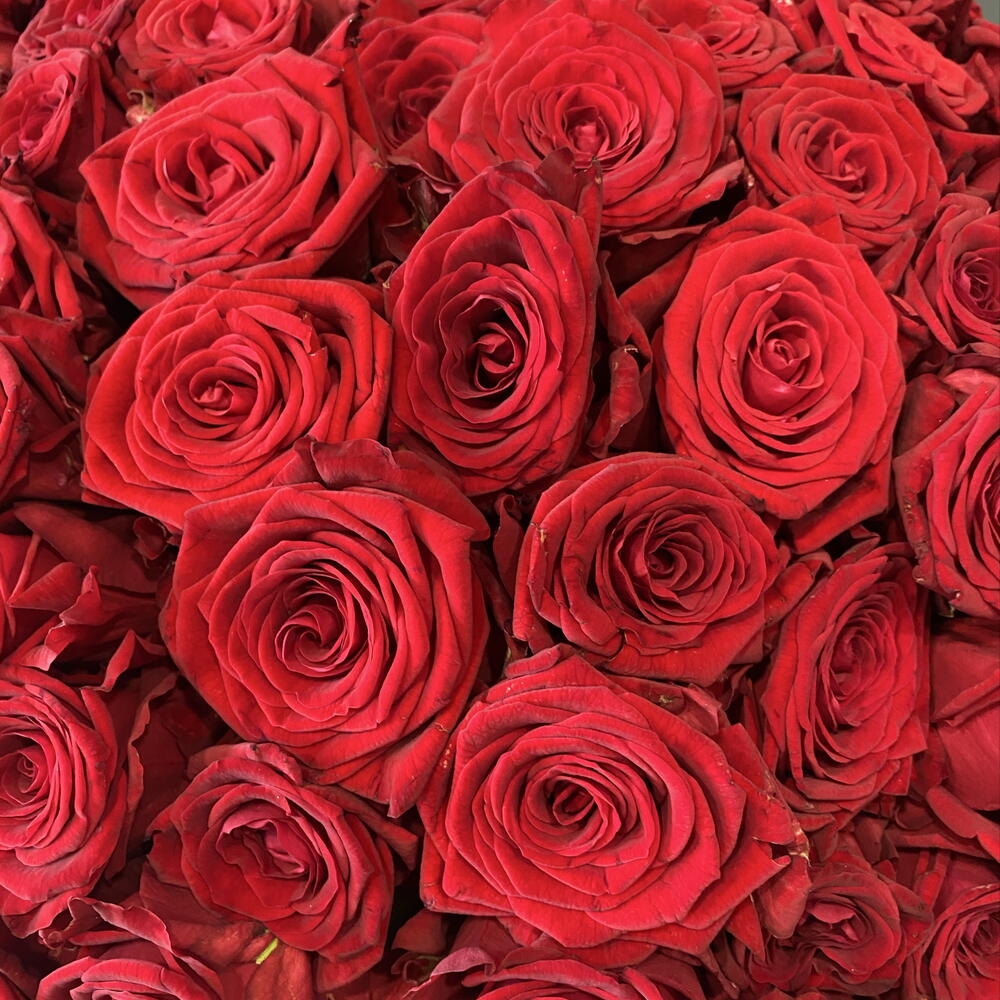 Букет из 101 красной розы 🌹