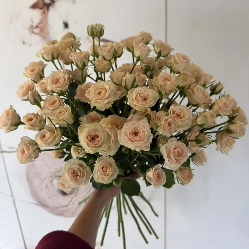 Роза кустовая 15шт