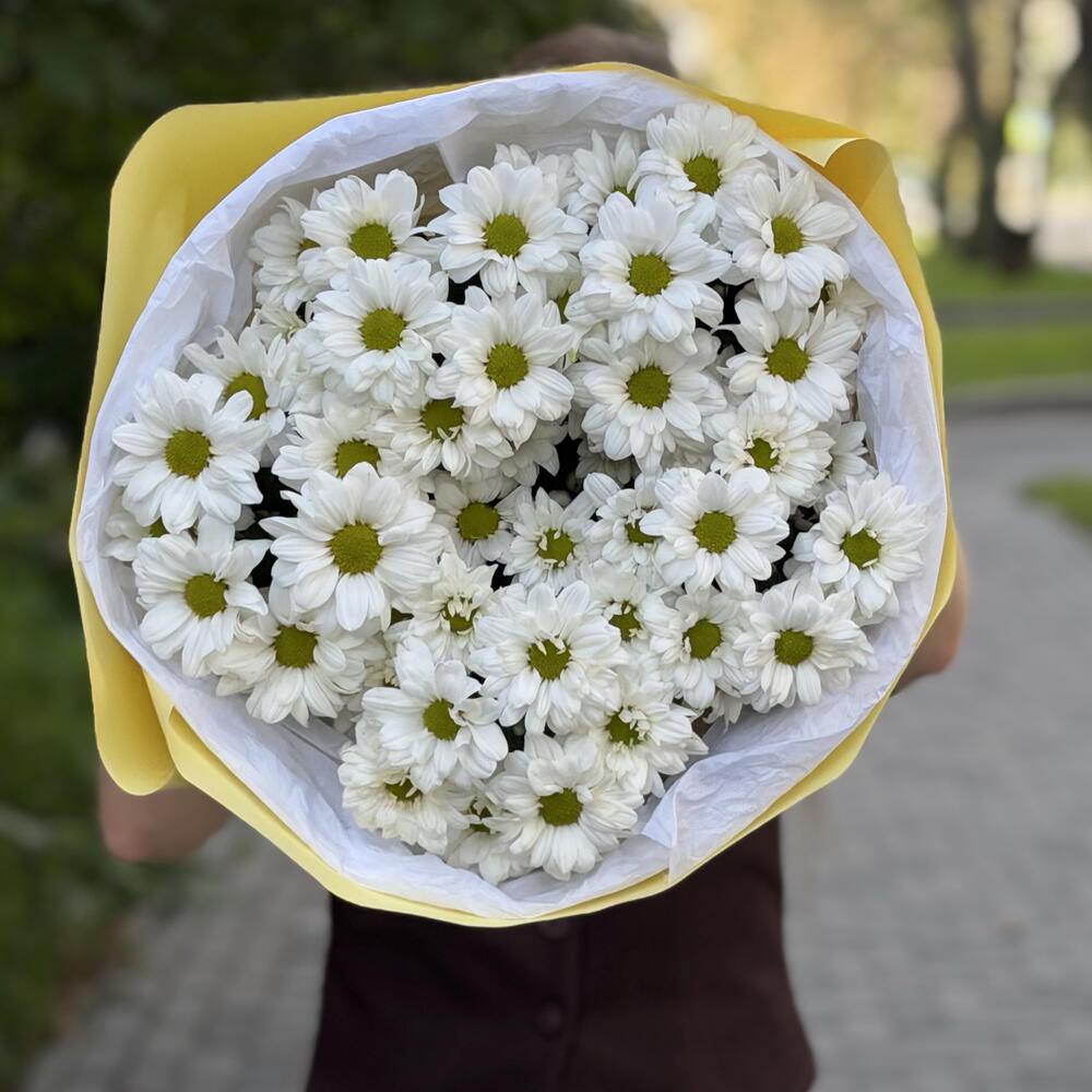 Букет из 5 кустовых ромашковых хризантем