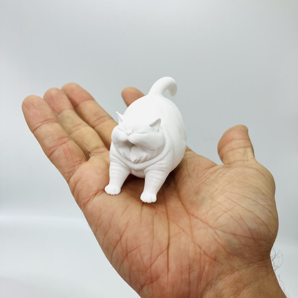 кот зевун котозилла белый