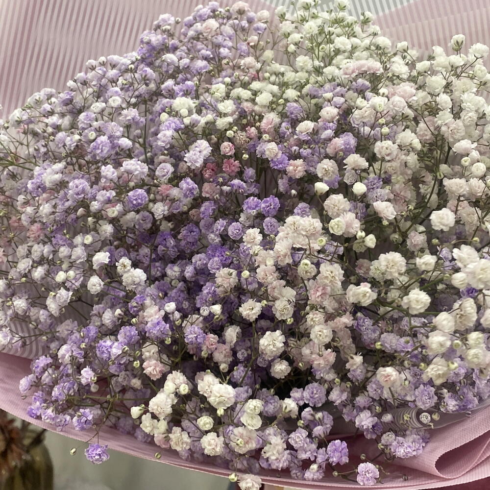 Букет гипсофил 💗💜
