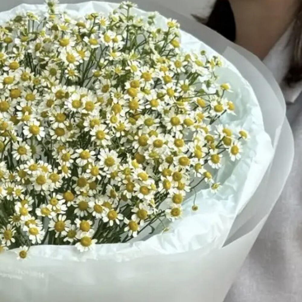 Букет Ромашка S