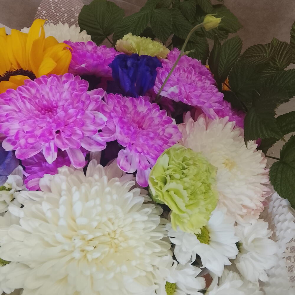 Букет с Хризантемой,диантусами,подсолнухом и ветками малины