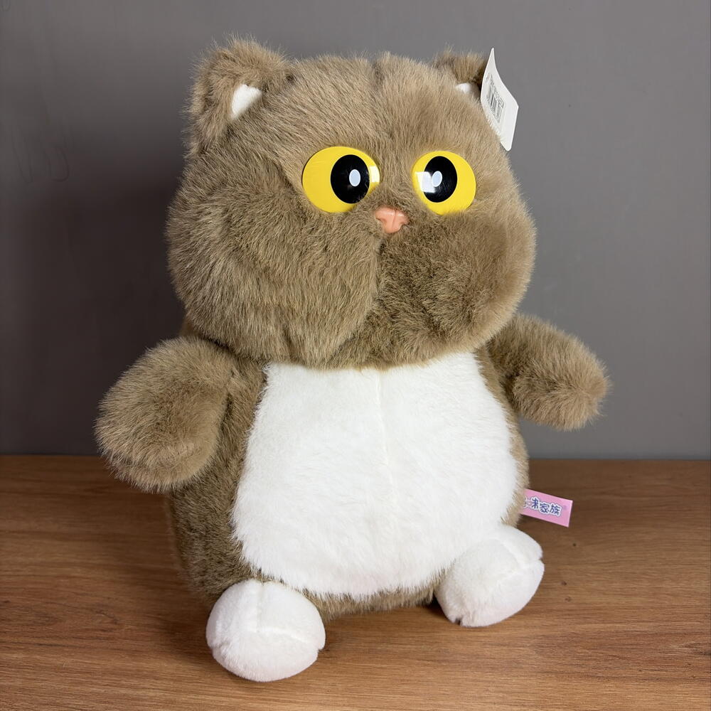 Кот с большими глазами