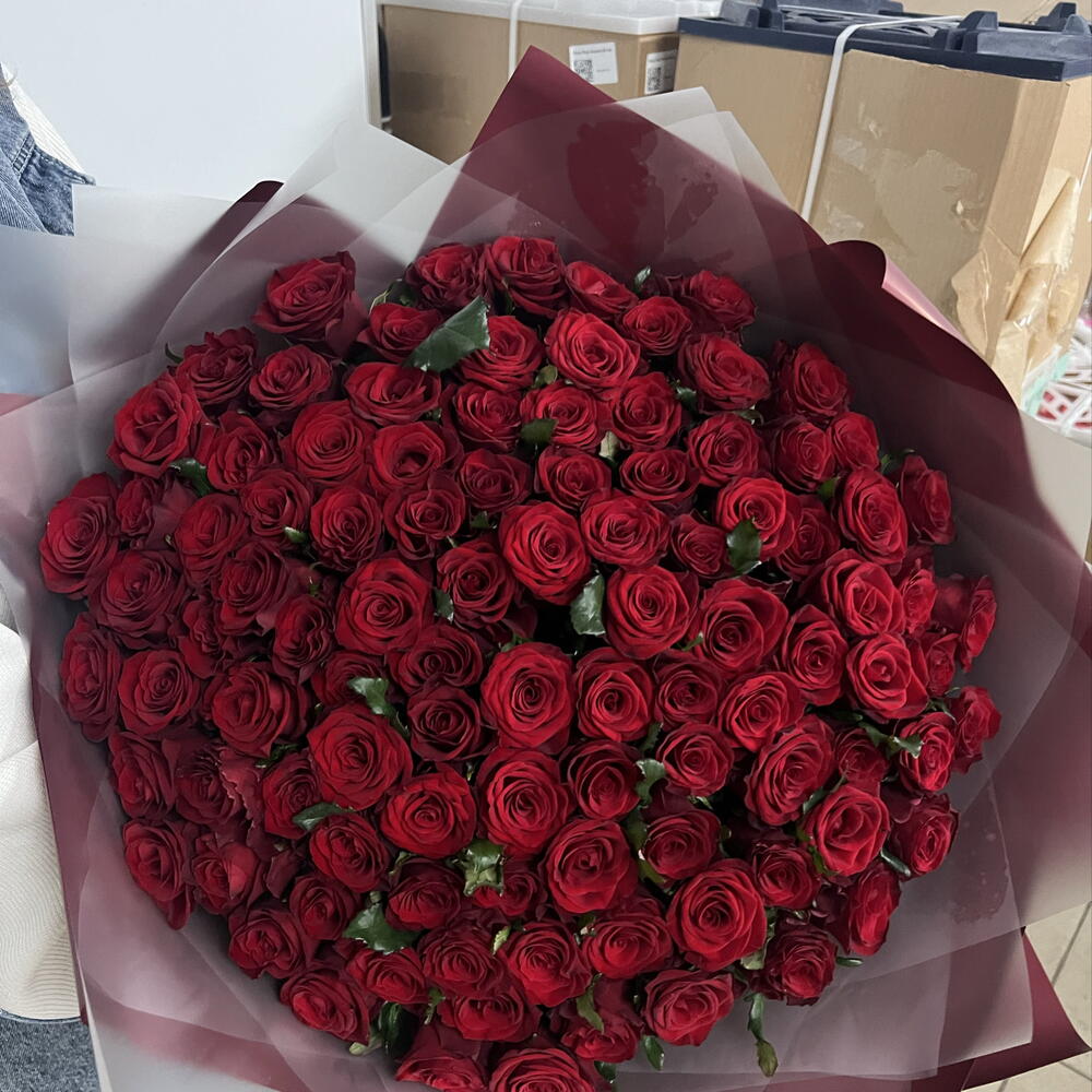 Абсолютная страсть