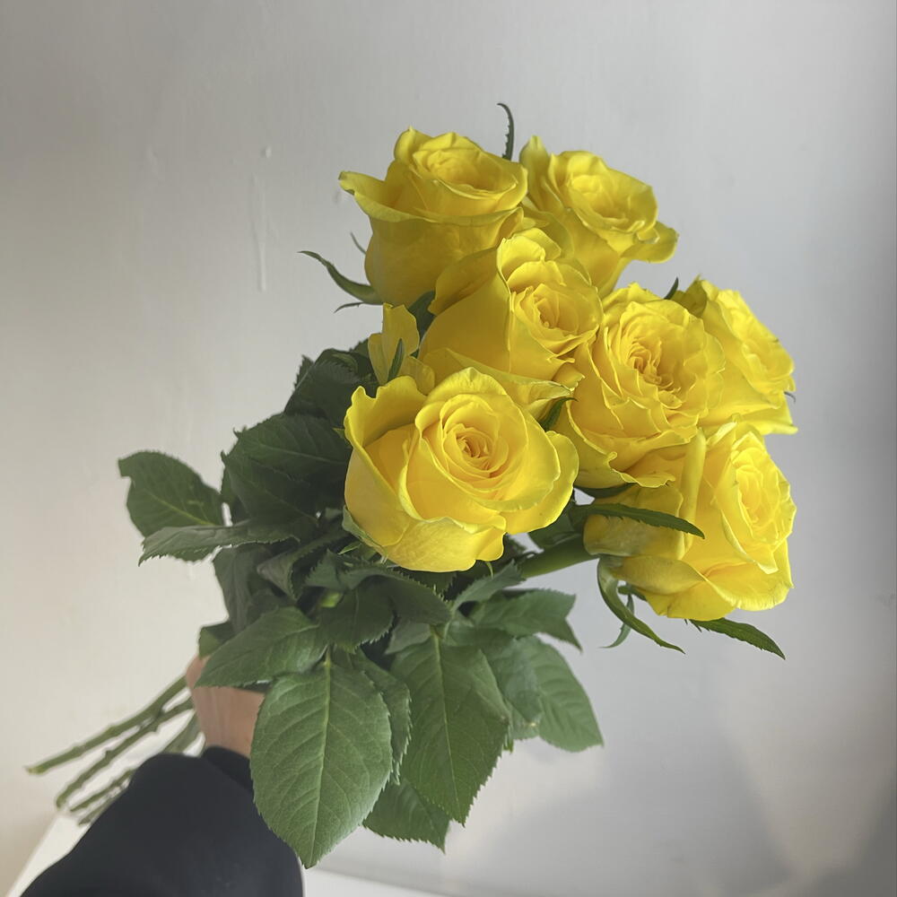 Розы жёлтые 💛 7