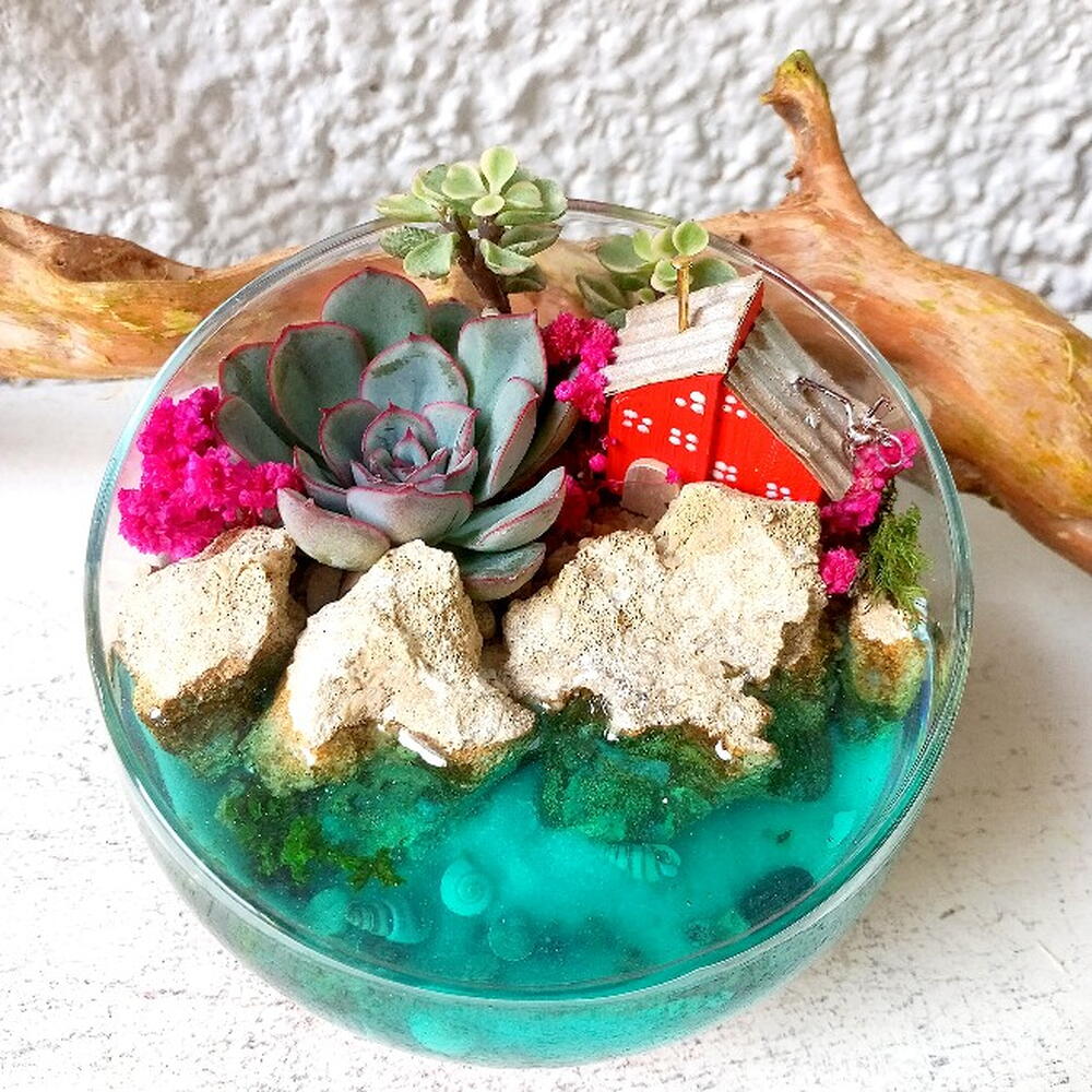 Florarium"Sueño"