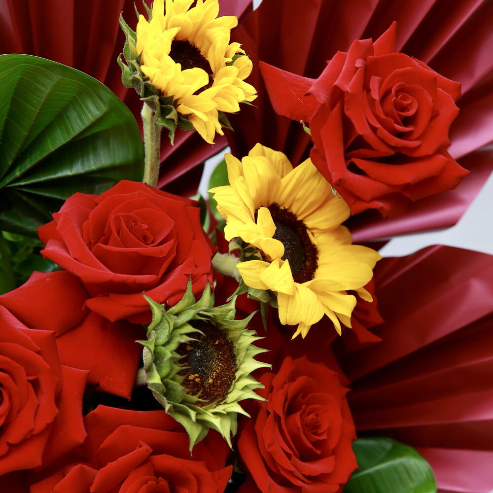 Red Lİ