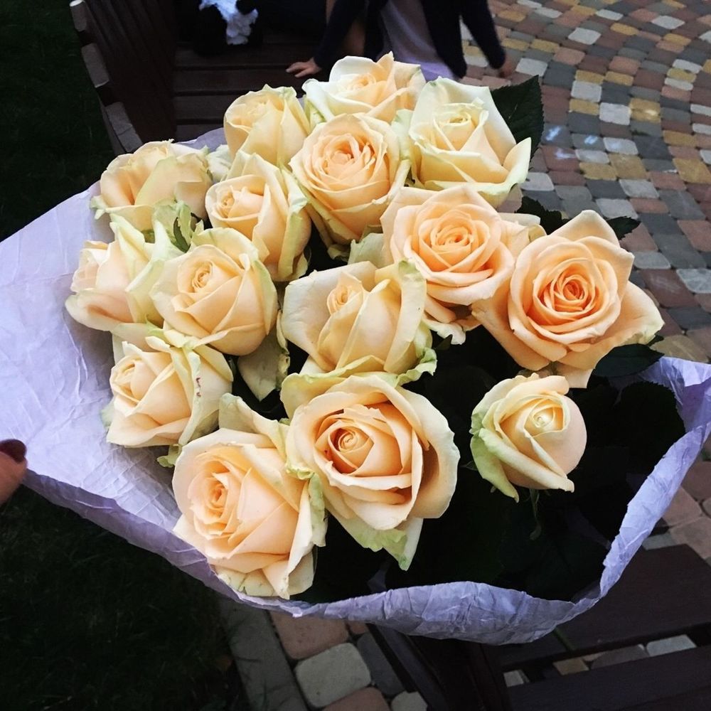 15 элитных персиковых роз