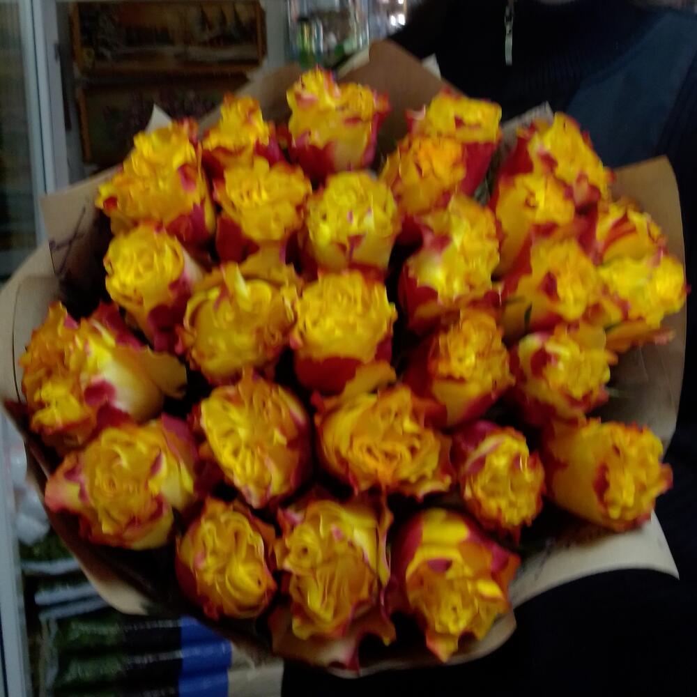 25 ярких роз 60см