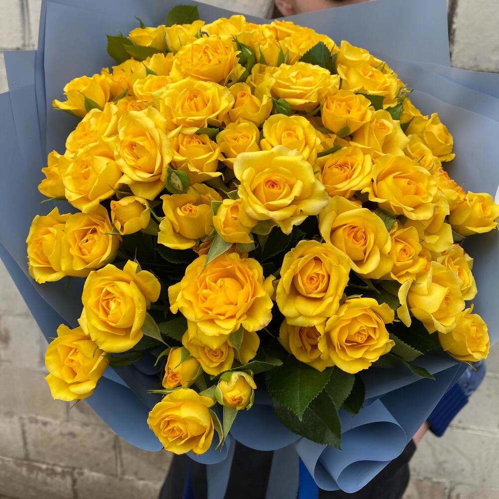 Yellow   Blue