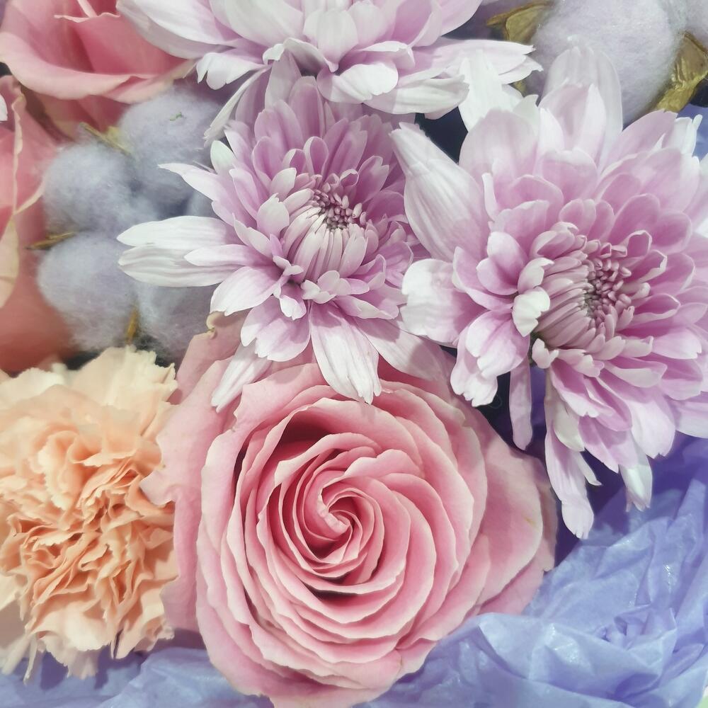 Softness
