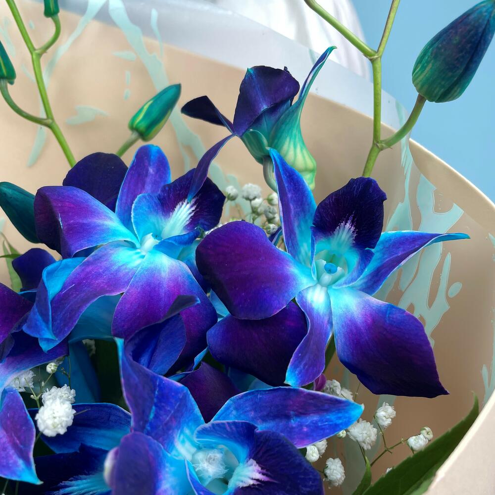 Букет Гипсофилы и Орхидей Дендробиум, Цветы и подарки в Твери, купить ...