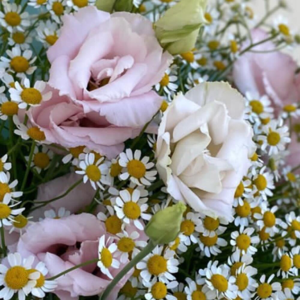Воздушный 🌸