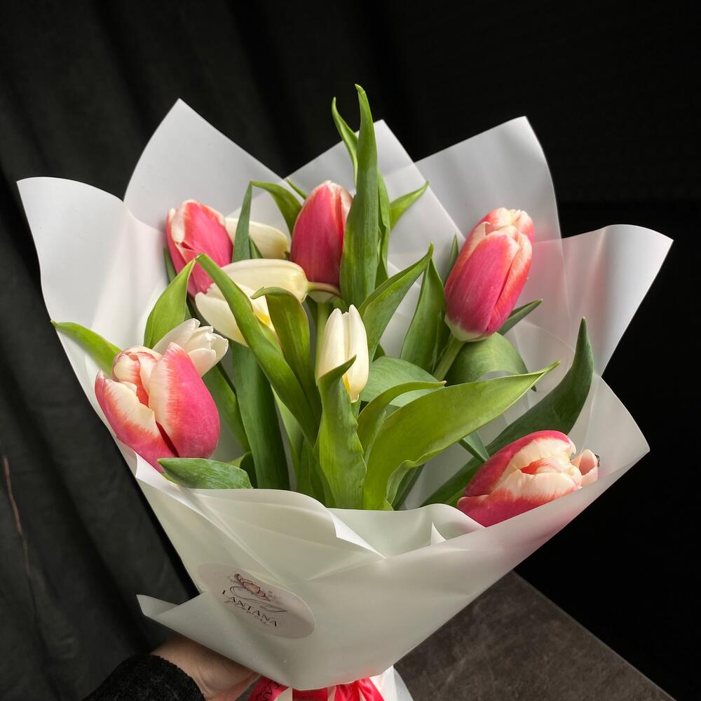 Tulips