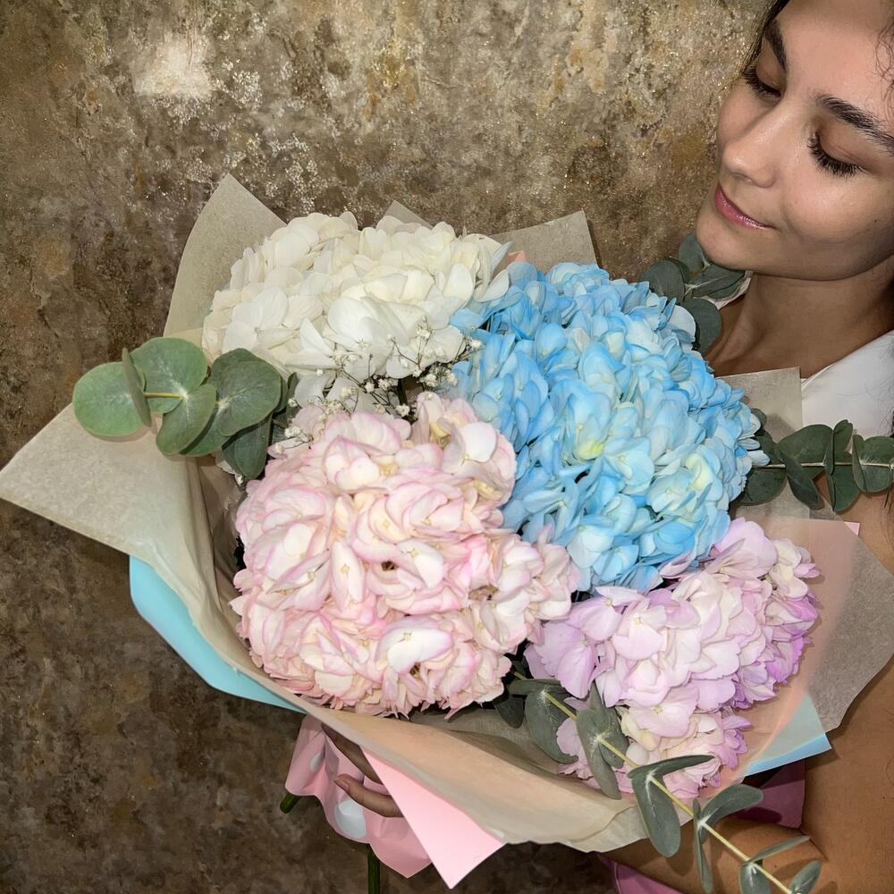Hydrangea love