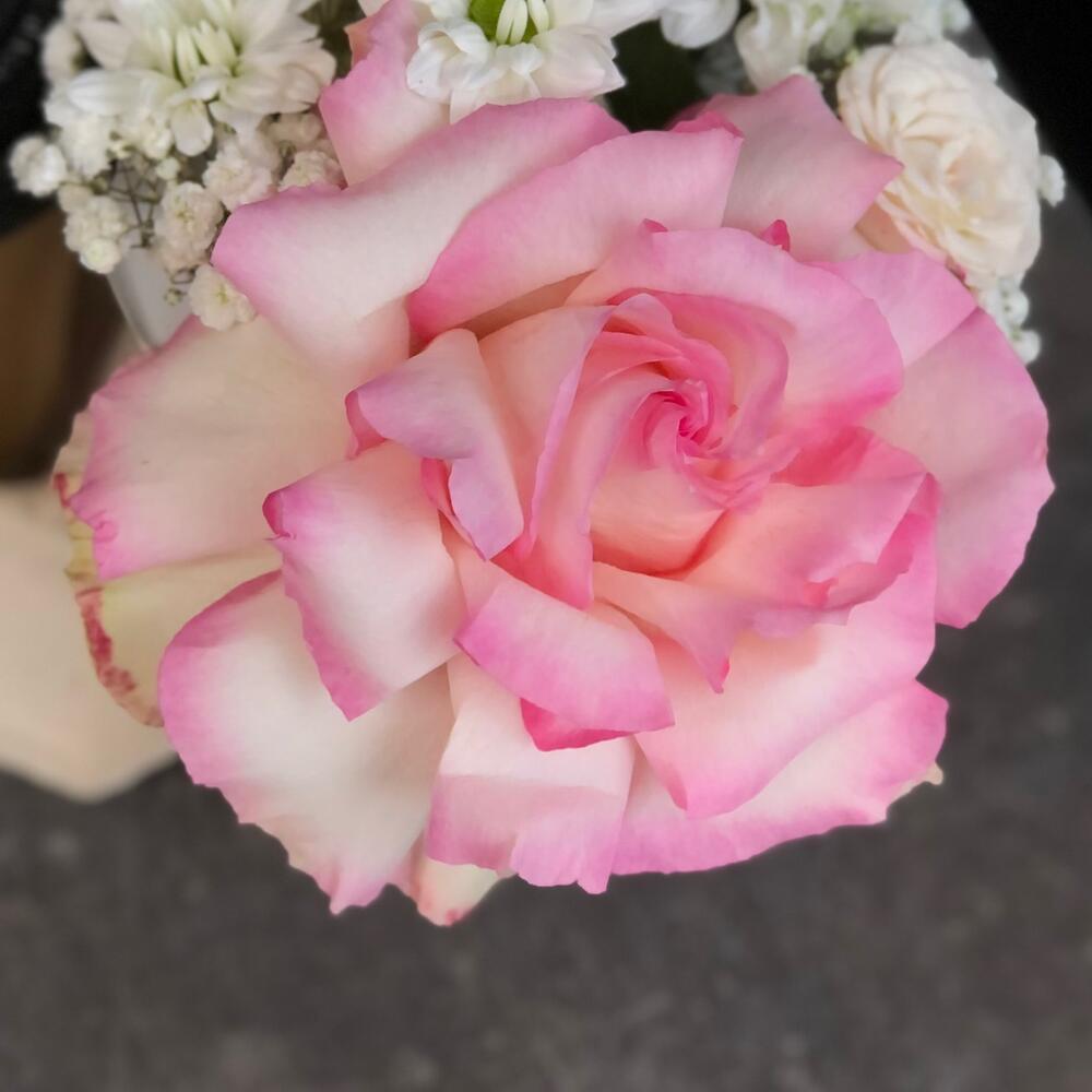 Цветы и кофе, Цветы и подарки в Казани, купить по цене 1290 RUB, Цветы ...