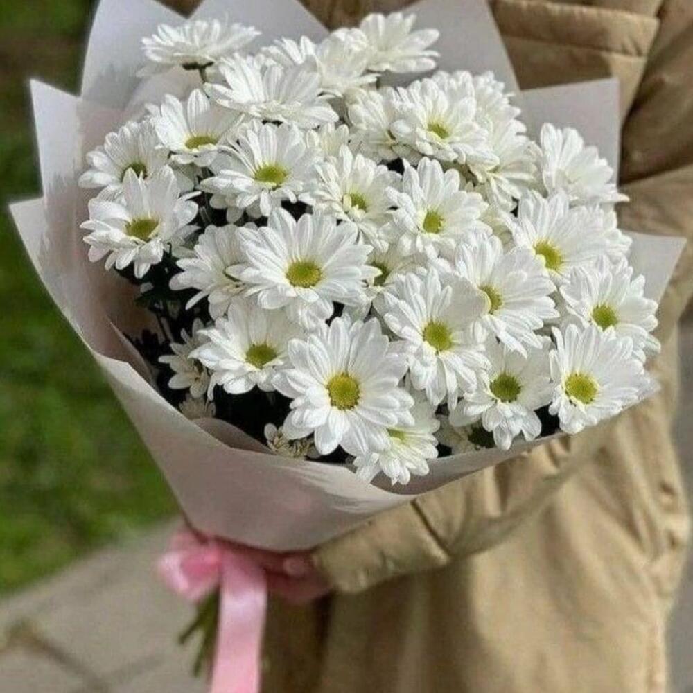 Букет из ромашек🤍