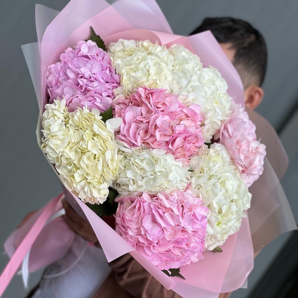 Hydrangea mix