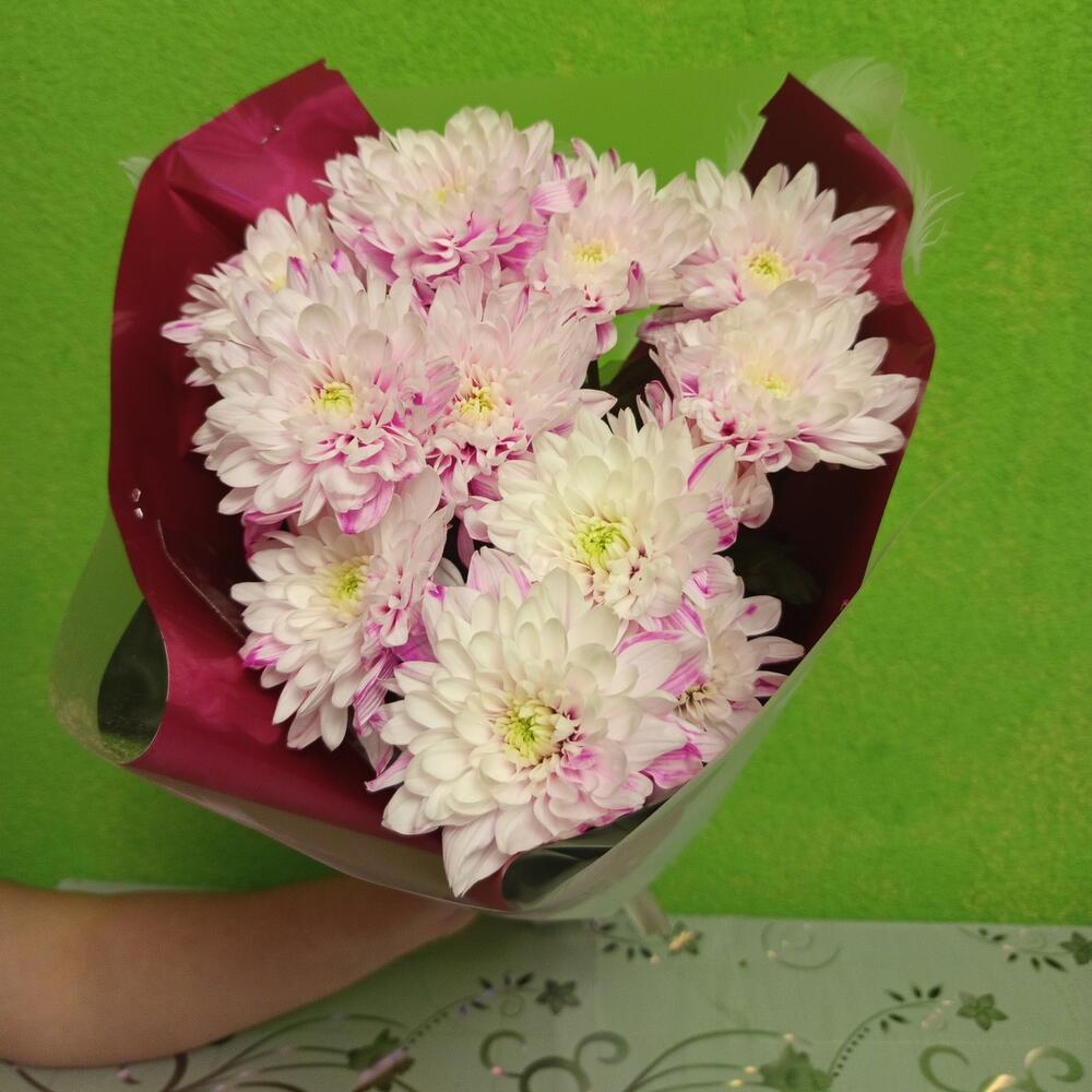 Магическая красота (может быть другой расцветки)
