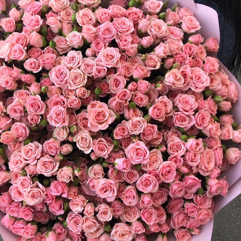 Кустовые розы